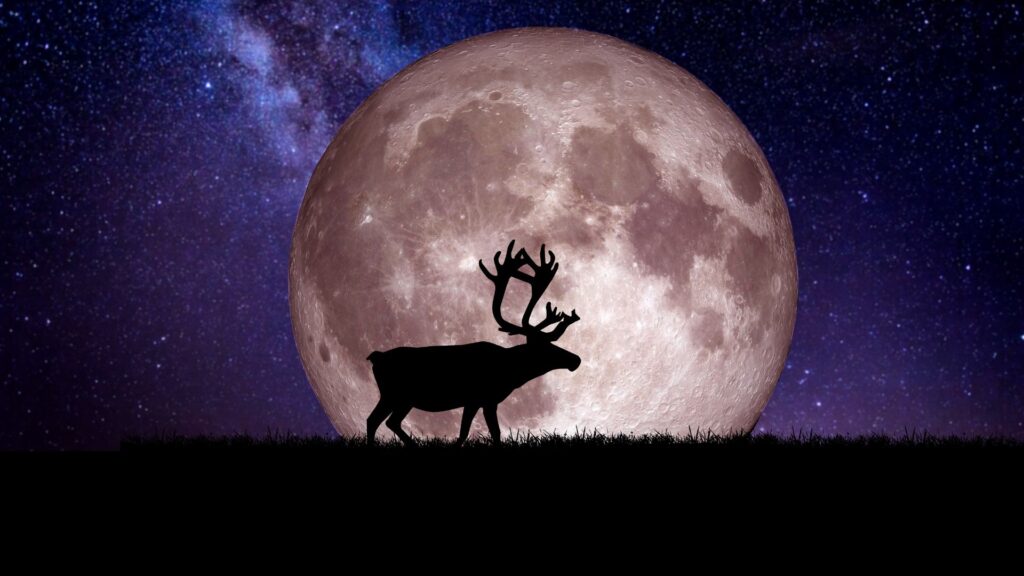 Lua Cheia do Veado